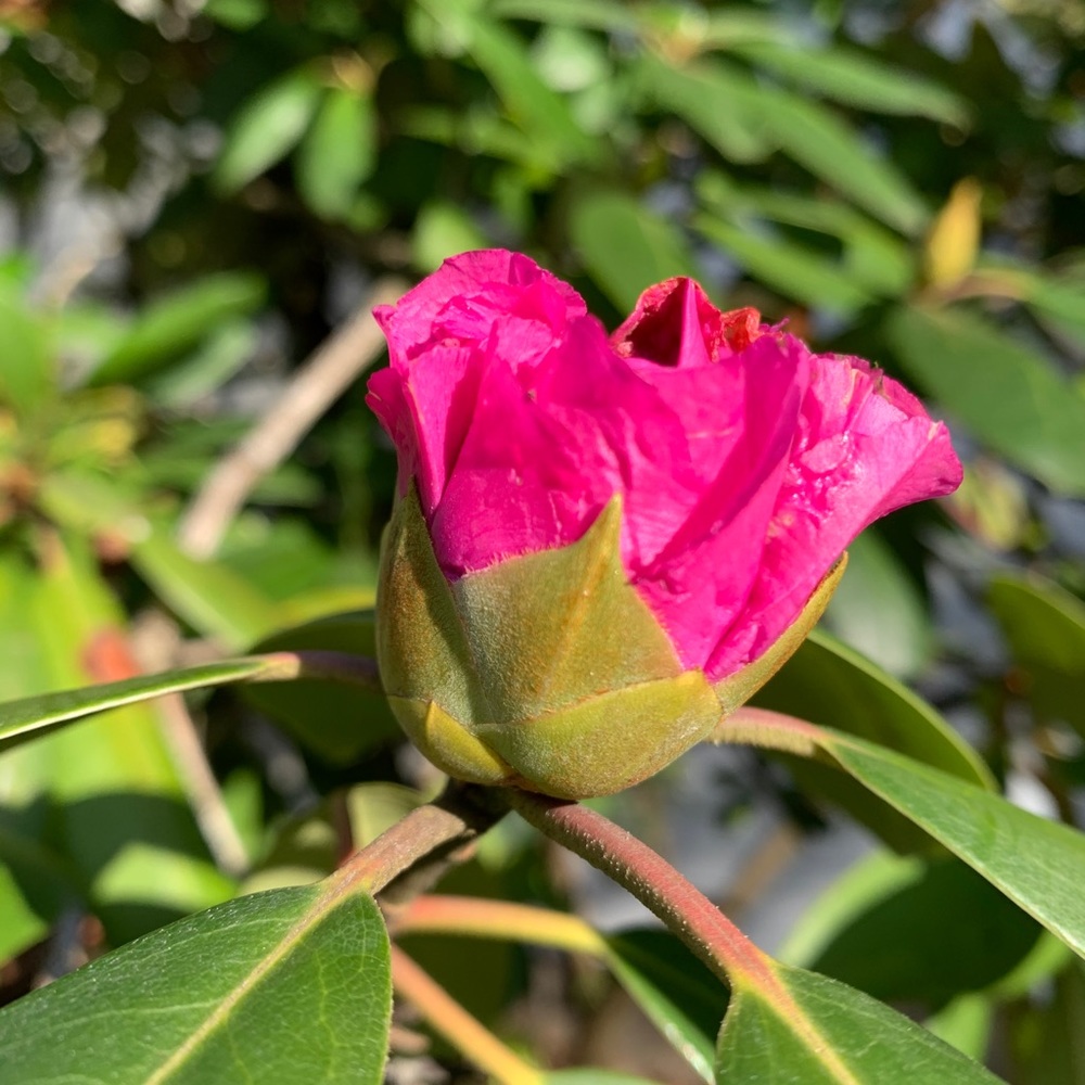 Meet your Posher, Cari